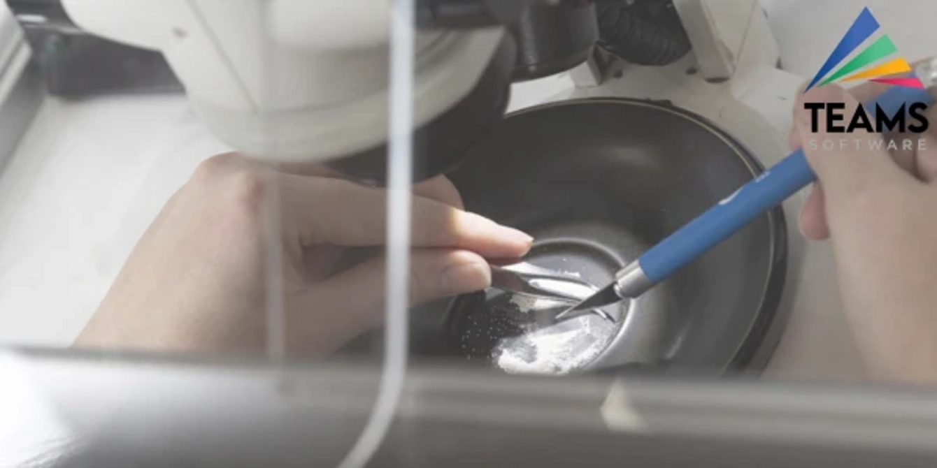 Bulk and Stand-Alone Sample Analysis: A Look Under the Microscope