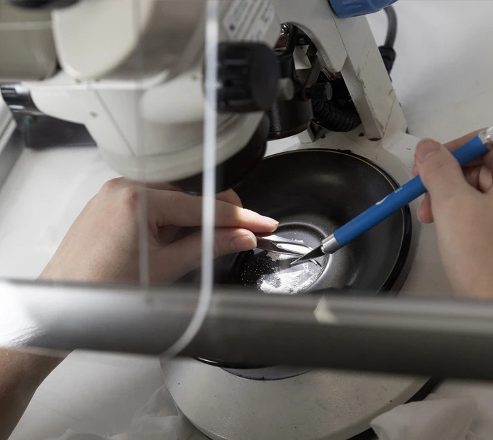 Bulk Sample Analysis