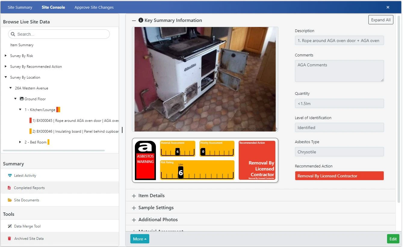 Image showing comapnion app and person walking on phone